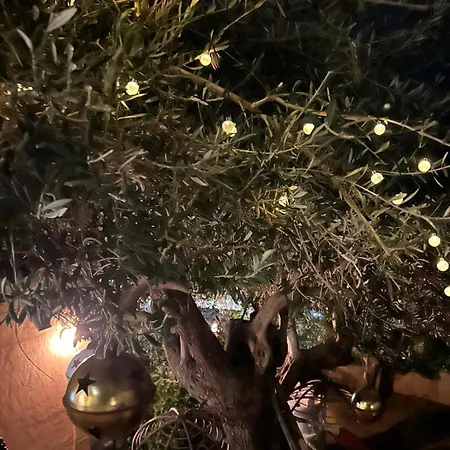 Relais Dei Mori Palermo * Casteldaccia