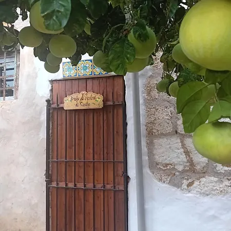 Apartamento Relais Dei Mori Palermo *